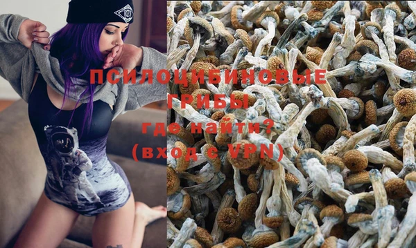 ГАЛЛЮЦИНОГЕННЫЕ ГРИБЫ Абдулино
