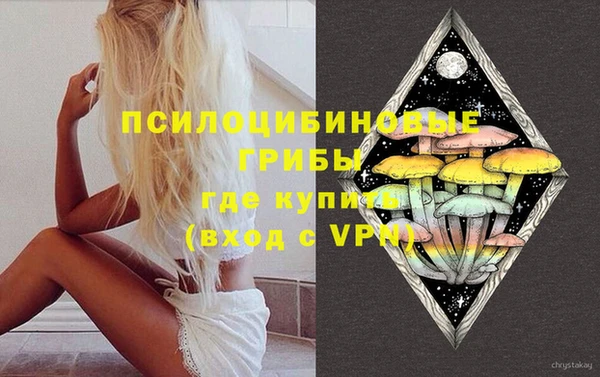 ГАЛЛЮЦИНОГЕННЫЕ ГРИБЫ Абдулино