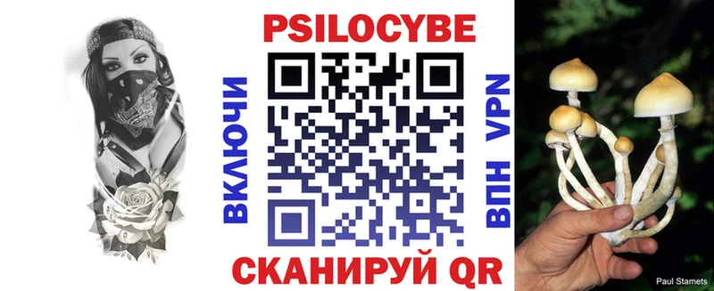 купить наркотики цена  Бобров  Псилоцибиновые грибы Magic Shrooms 