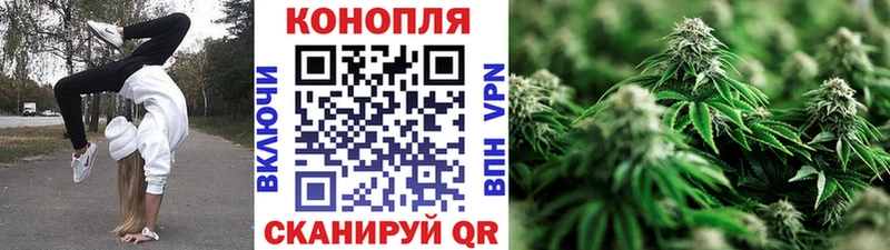 где можно купить   Бобров  Шишки марихуана план 